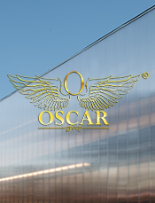 Oscar Group запровадила власну номінацію – «Володарі світла»